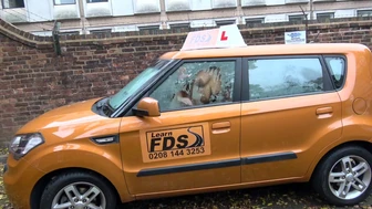 Fake Driving School az oktató beleélvez a diák pinájába