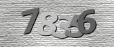 Obraz Captcha